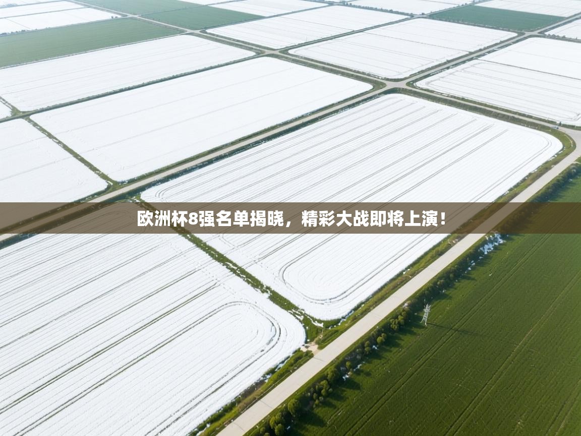 欧洲杯8强名单揭晓，精彩大战即将上演！  第2张