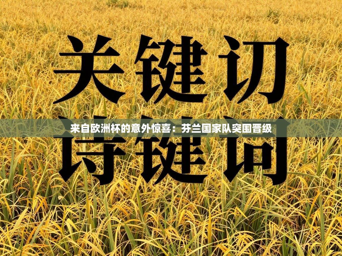 来自欧洲杯的意外惊喜：芬兰国家队突围晋级  第2张