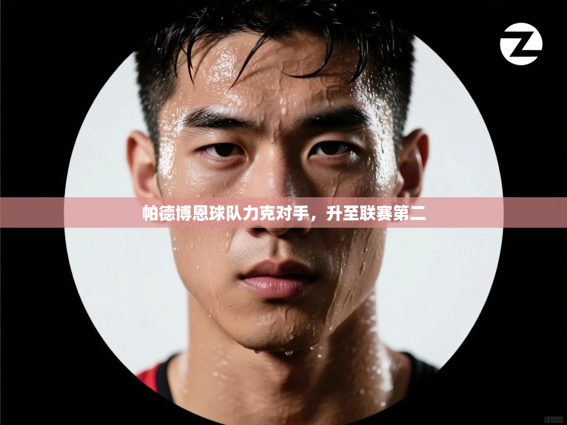 帕德博恩球队力克对手，升至联赛第二