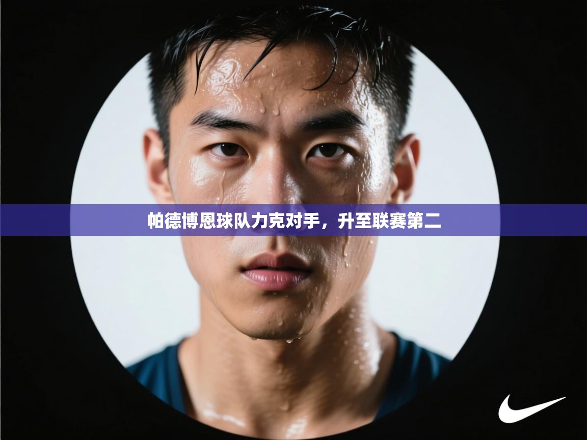 帕德博恩球队力克对手，升至联赛第二  第2张