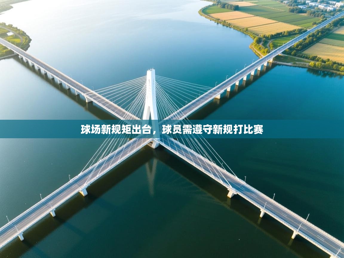球场新规矩出台，球员需遵守新规打比赛