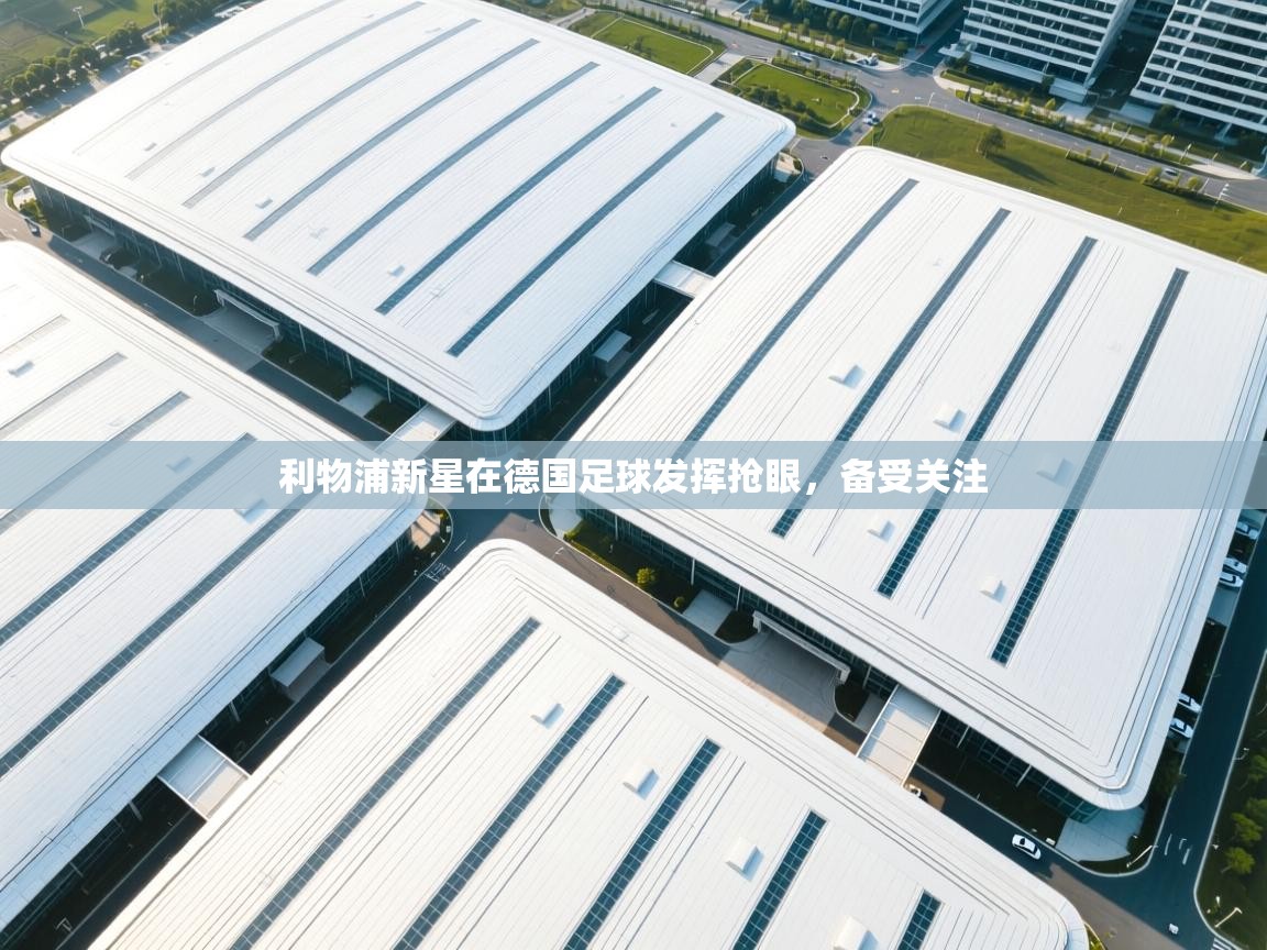 利物浦新星在德国足球发挥抢眼，备受关注  第2张