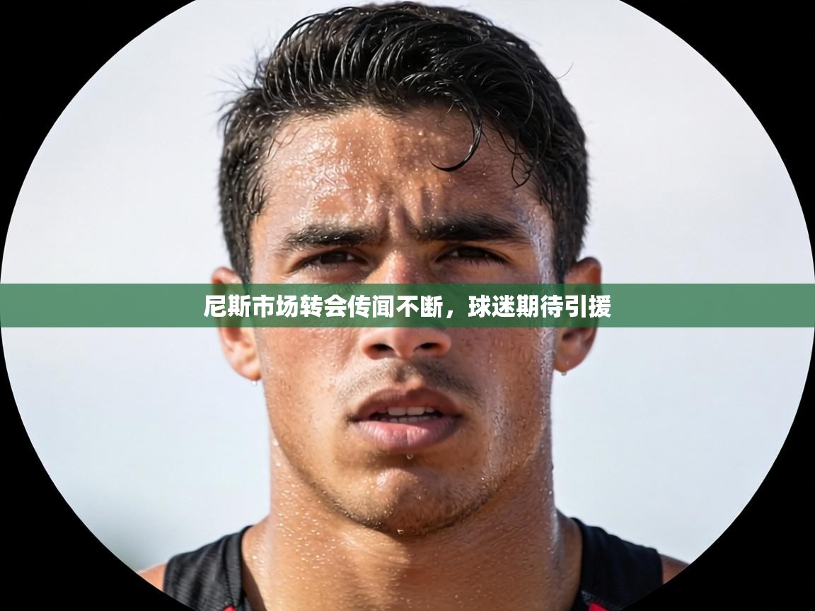 尼斯市场转会传闻不断,球迷期待引援 第2张